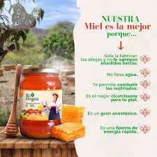 🍯 Miel de Abeja Pura 1 kg 🍯