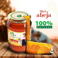 🍯 Miel de Abeja Pura 1 kg 🍯